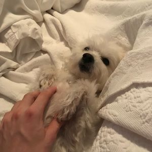 Meet your Posher, Anthony